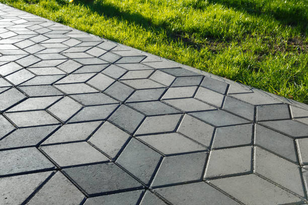 Best Custom Driveway Pavers  in Tarboro, NC