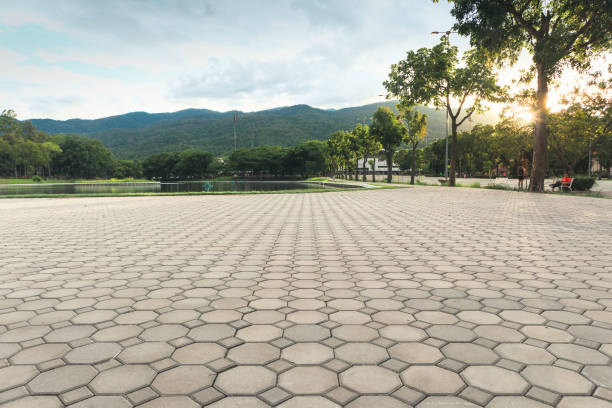 Best Concrete Paver Driveway  in Tarboro, NC