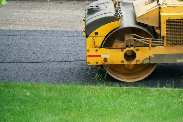 Best Residential Paver Driveway  in Tarboro, NC