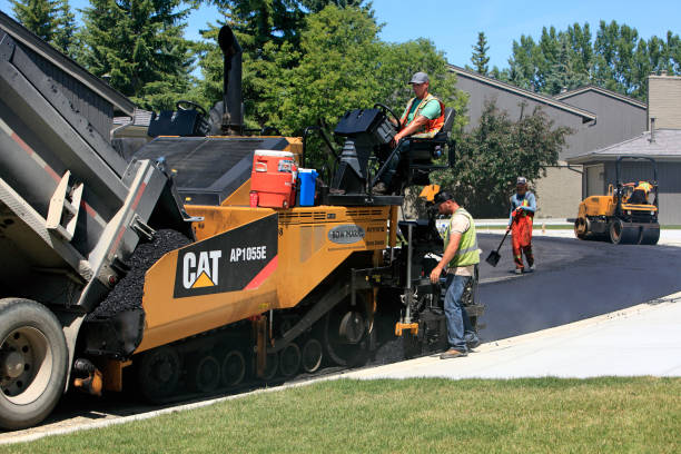 Best Driveway Pavers Near Me  in Tarboro, NC